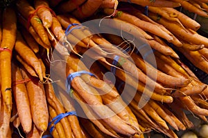 Fresh organic garden grown carrots in Vancouver's Grandville Island Market