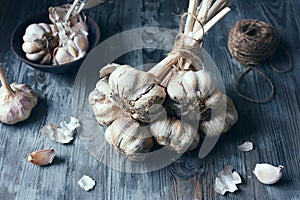 Fresh organic garlic bulb, tied together