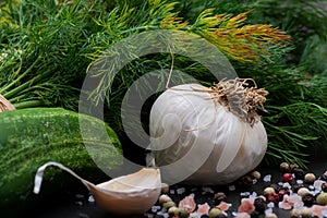Fresh Organic Garlic, Cucumber, Dill, Coarse Sea and Himalayan Pink Salt, Rainbow Peppercorns on dark