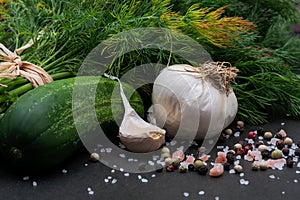 Fresh Organic Garlic, Cucumber, Dill, Coarse Sea and Himalayan Pink Salt, Rainbow Peppercorns on dark