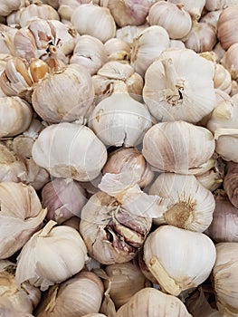 Fresh organic garlic has properties: Nourishing the skin to be healthy, help strengthen the growth of tissues in the body.