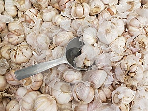 Fresh organic garlic has properties: Nourishing the skin to be healthy, help strengthen the growth of tissues in the body.