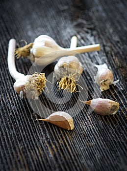 Fresh organic garlic on a wooden background