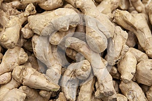 Fresh organic ginger on fresh market in thailand