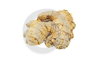 Fresh organic ginger rhizome root used in traditional medicines and for flavoring meals, drinks, isolated on white