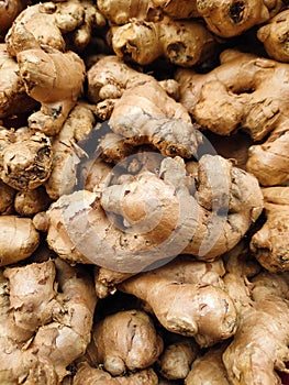 Fresh Organic Ginger Root Close-Up