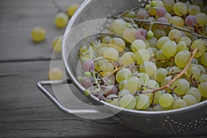 Fresh organic Grapes photo