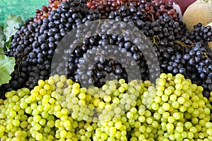 Fresh organic grapes fruit pile background