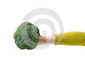 Fresh Organic Green Broccoli in Woman`s Hand, Concept Healthy Food. Female Hand Holding Broccoli Isolated on White Background
