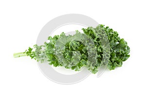 Fresh organic green kale leaves isolated over white background