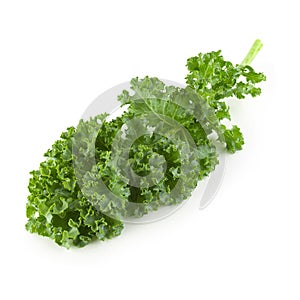 Fresh organic green kale leaves isolated over white background