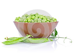 Fresh organic green pea with leaf in ceramics plate