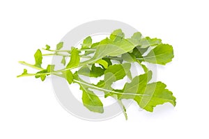 Fresh organic green rukkola, rucola or arugula, heap, salad leaves, isolated on white background