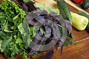 Fresh organic  greens: parsley, basilic, dill and   vegetables at wooden table. close up