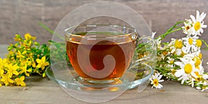 Fresh organic herbal tea in glass cup with tutsan and chamomile flowers