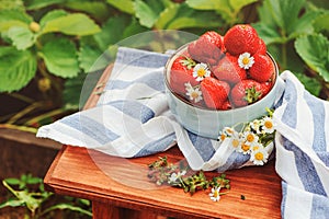 Fresh organic home growth strawberries on wooden table in plate