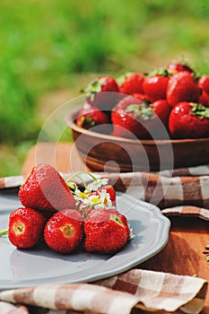 Fresh organic home growth strawberries on wooden table in plate