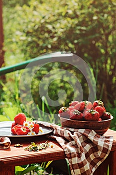 Fresh organic home growth strawberries on wooden table in plate