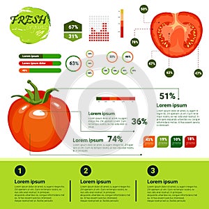 Fresh Organic Infographics Natural Vagetables Growth, Agriculture And Farming