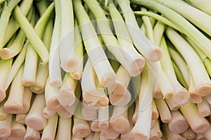 Fresh organic Leeks