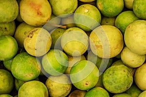 Fresh organic lemons from farm close up from different angle