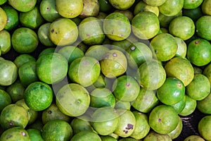 Fresh organic lemons from farm close up from different angle