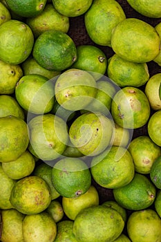 Fresh organic lemons from farm close up from different angle