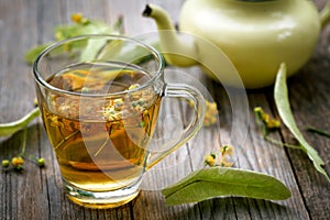 Fresh organic linden flower tea
