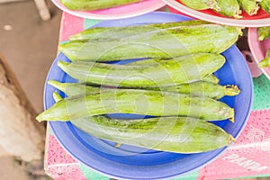 Fresh organic luffa squash selling at local Thai market