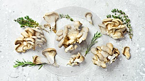 Fresh organic Maitake mushroom on a stone table.