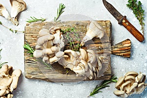 Fresh organic Maitake mushroom on a stone table.