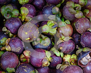 Fresh organic mangosteen fruits at the market