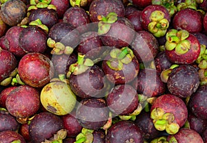 Fresh organic mangosteen fruits at the market