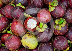 Fresh organic mangosteen fruits at the market