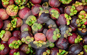 Fresh organic mangosteen fruits at the market