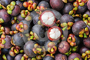 Fresh organic mangosteen Thai fruit.