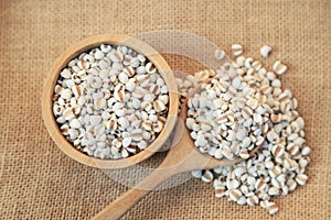 Fresh organic millet or job`s tear seed on sack in bowl  in kitchen for cooking in daily life meal. selective focus. top view