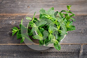 Fresh organic mint bunch on the old rustic wooden table.