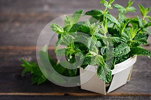 Fresh organic mint bunch on the old rustic wooden table.