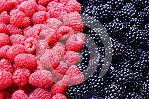 Fresh organic mixed berries: raspberry & blackberry in harvest pile, white background. Clean eating concept. Healthy nutritious ve