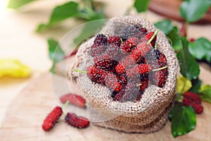 Fresh organic mulberries