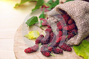 Fresh organic mulberries