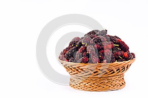 Fresh organic mulberries in brown basket on white background healthy mulberry fruit food isolated