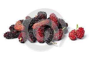 Fresh organic Mulberry fruits on white background