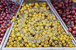 Fresh organic multicolored cherry tomatoes. Farmers market counter with heap of live vitamins, selectiv focus