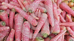 Fresh Organic nutritious Carrots in the market for sale & cooking purposes