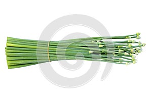 Fresh organic onion flower isolated on white background