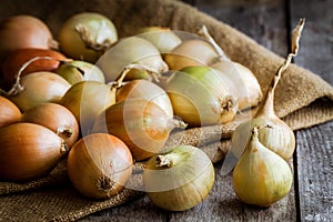 Fresh organic onions