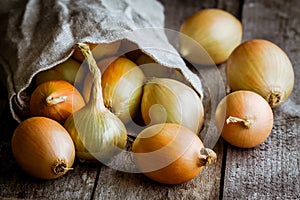 Fresh organic onions in a bag