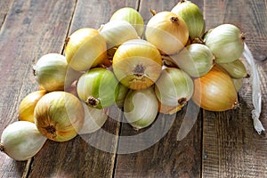 Fresh organic onions conjunct in a braid photo